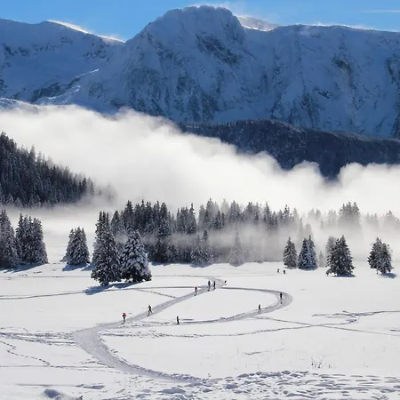 La Grive Famille & Montagne 6pers Montagne By Alpvision Appartement